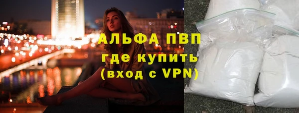дмт Касимов