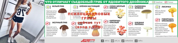 дмт Касимов